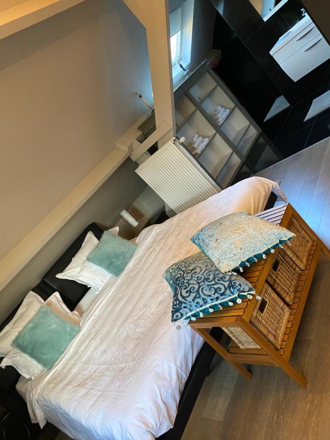 Cosy Studio Met Zwembad Beringen Exteriör bild